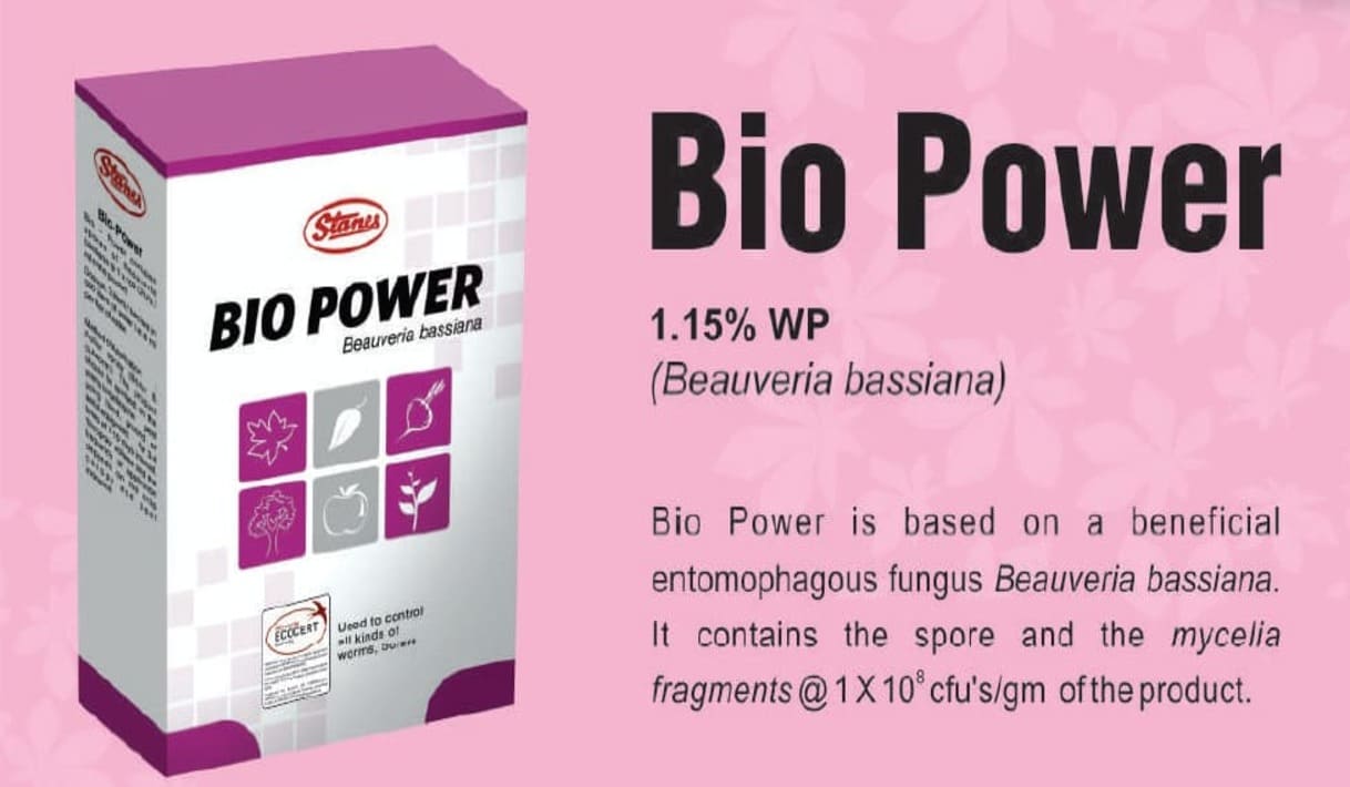 bio_power
