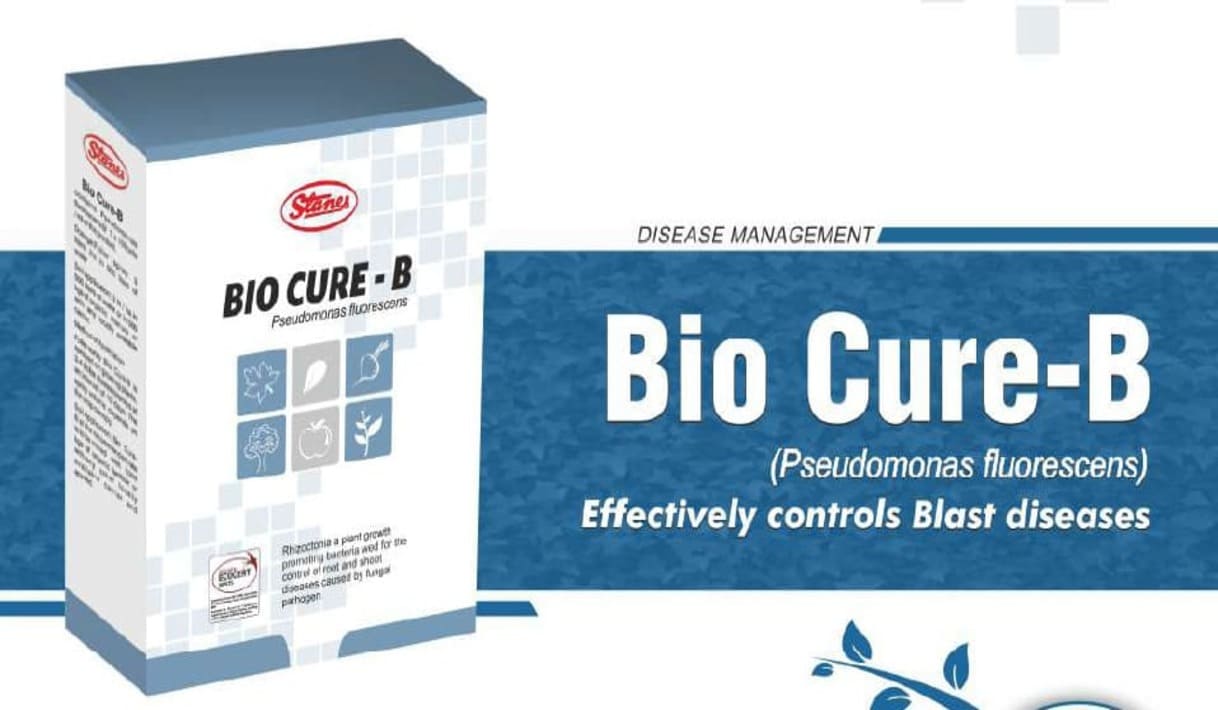 biocure_b