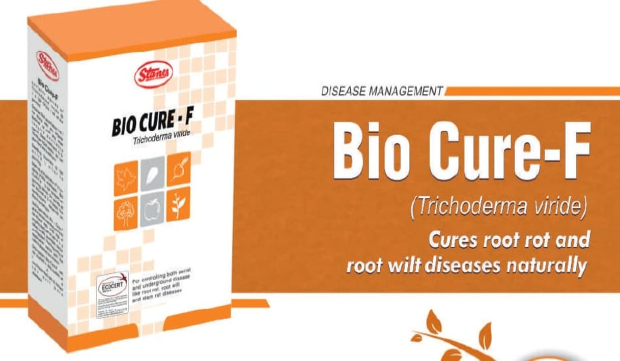 biocure_f